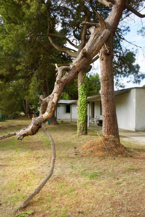 Natura カヴァッリーノ・トレポルティ エクステリア 写真